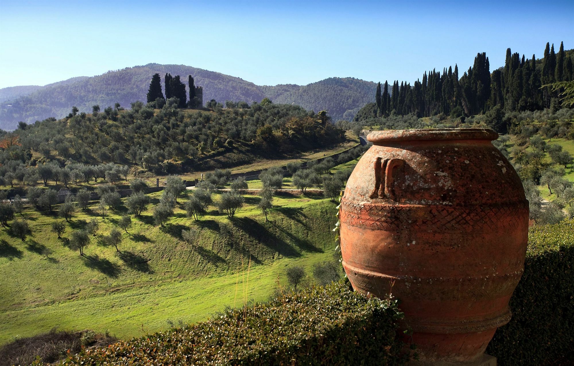 Torre a Cona Wine Estate San Donato in Collina Exterior foto