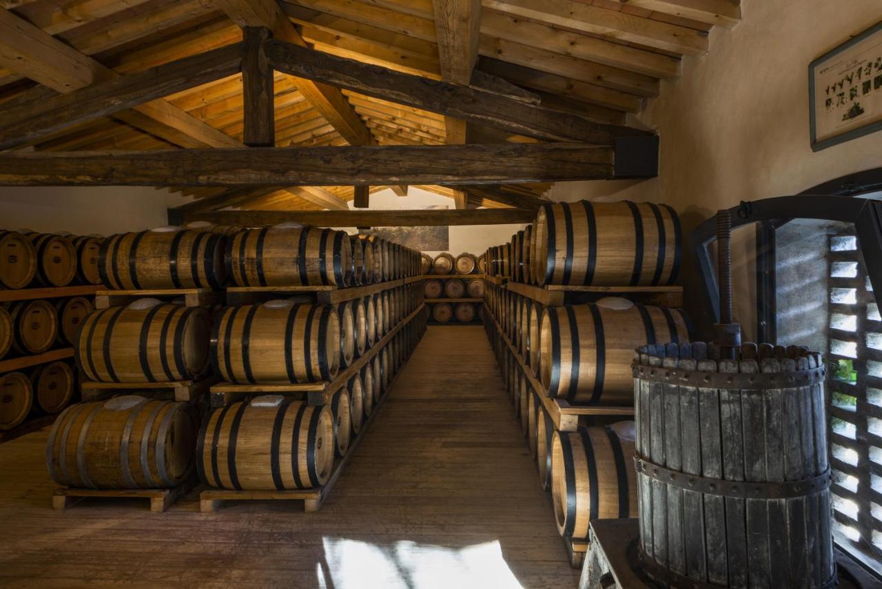 Torre a Cona Wine Estate San Donato in Collina Exterior foto